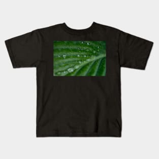 Water droplets on Hosta leaf Kids T-Shirt